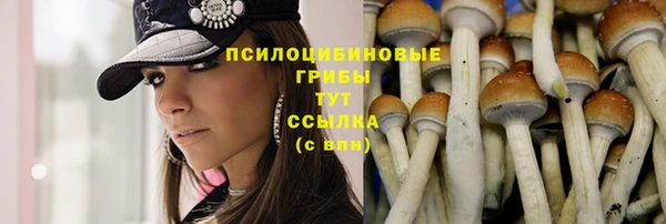 стафф Абаза