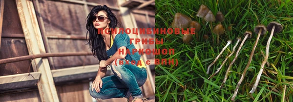 винт Алзамай