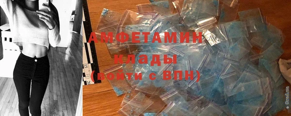 винт Алзамай